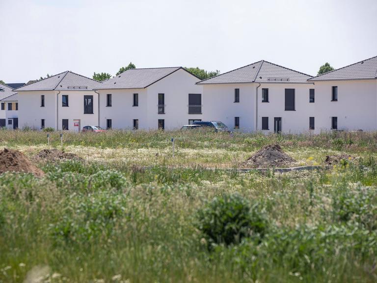 Hinter einer Wiese ist eine Siedlung aus sehr ähnlich aussehenden Einfamilienhäusern zu sehen.