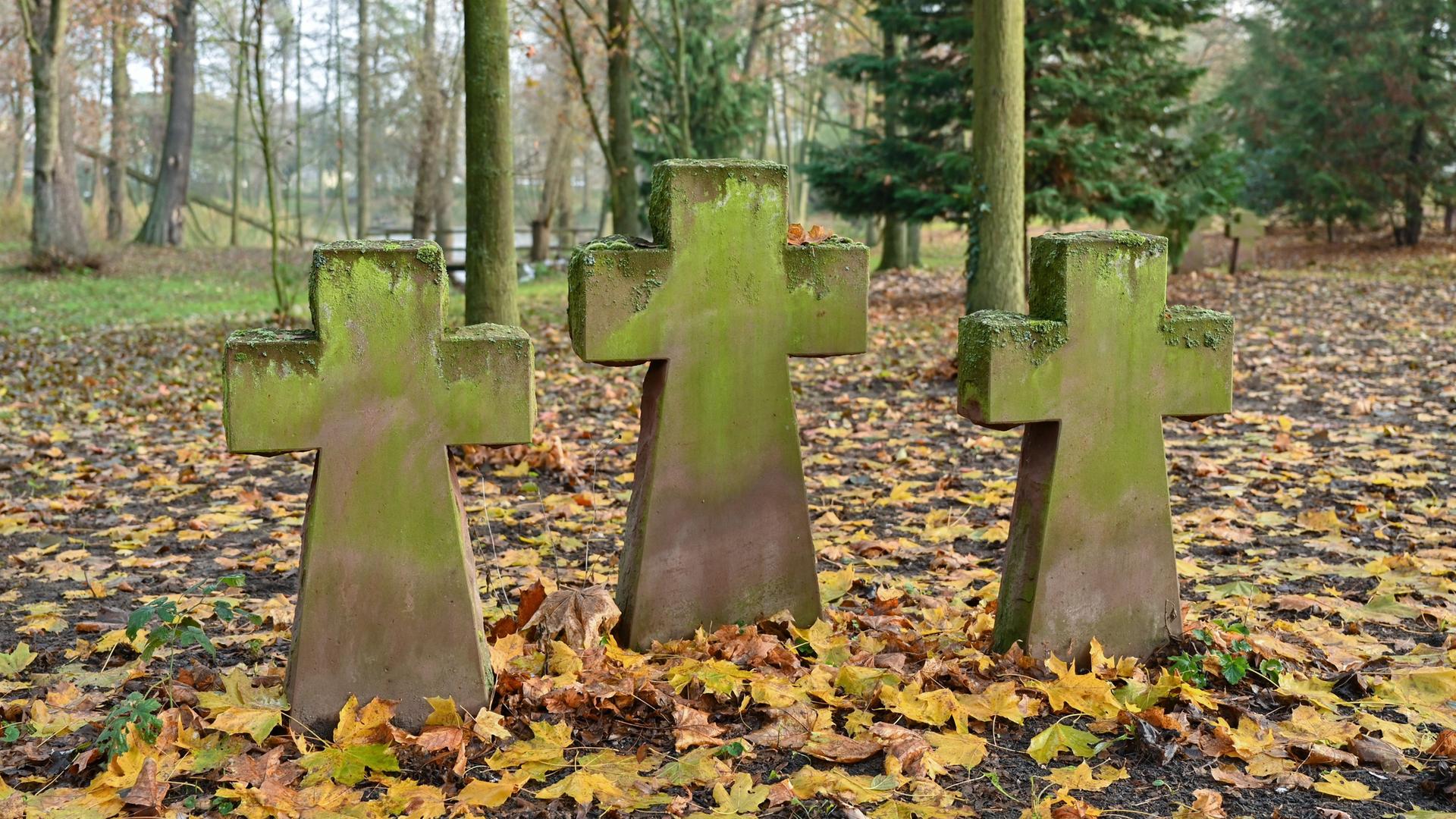 Frankfurt, Oder: Steinerne Kreuze, in Gedenken an die Toten, die hier vor mehr als zehn Jahren vom Volksbund Deutsche Kriegsgräberfürsorge gefunden wurden, stehen auf einem privaten Gelände. Frankfurt, Oder: Steinerne Kreuze, in Gedenken an die Toten, die hier vor mehr als zehn Jahren vom Volksbund Deutsche Kriegsgräberfürsorge gefunden wurden, stehen auf einem privaten Gelände.