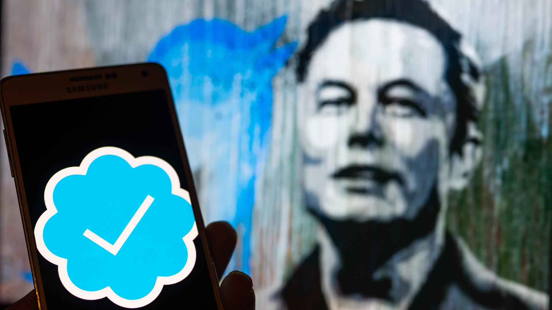 Twitter und sein Besitzer Elon Musk als Illustration 