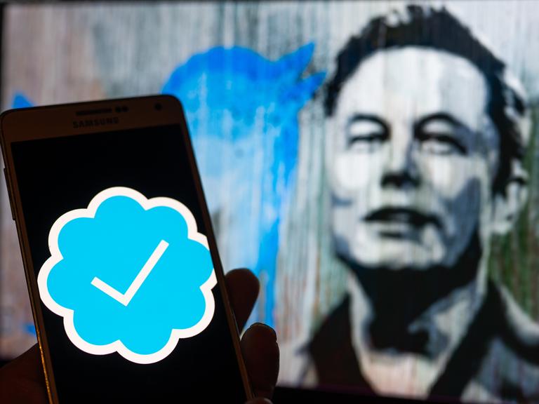 Twitter und sein Besitzer Elon Musk als Illustration 