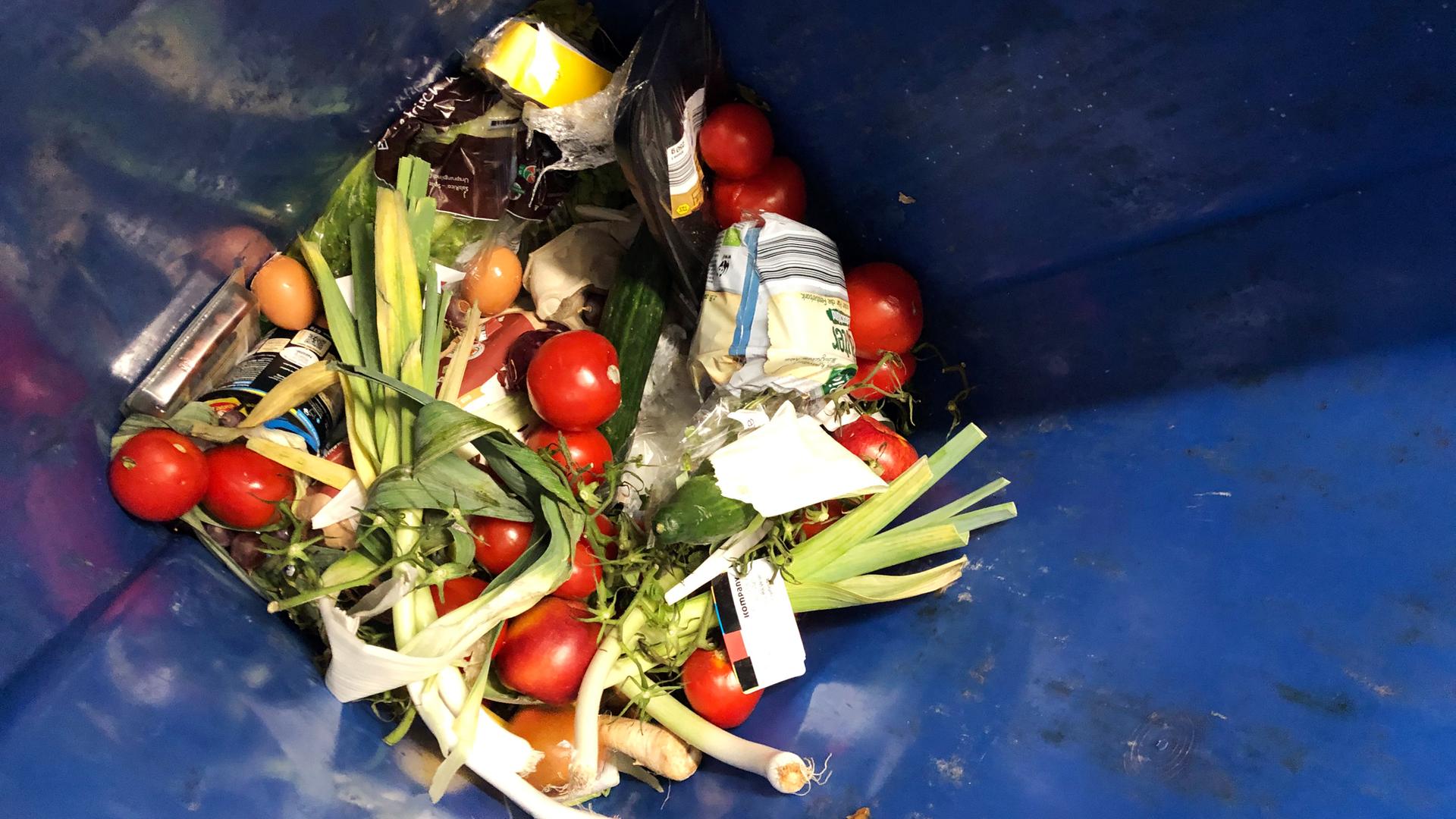 Weggeschmissene Lebensmittel liegen in einer Mülltonne.