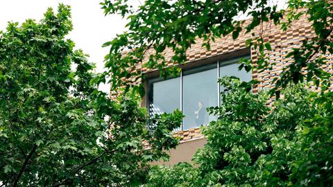 Die Ehrlichs haben sich ihr Traumhaus gebaut – es gibt Komplikationen. Zu sehen: Bäume im Vordergrund, dahinter der Teil eines modernen Hauses mit großen Fenstern. Im Fenster steht eine Frau, die nach draußen blickt.