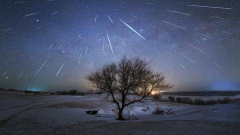 Sternschnuppen am dunkelblauen Himmel über einer Winterlandschaft mit einem prächtigen Baum in der Mitte des Bildes. 
