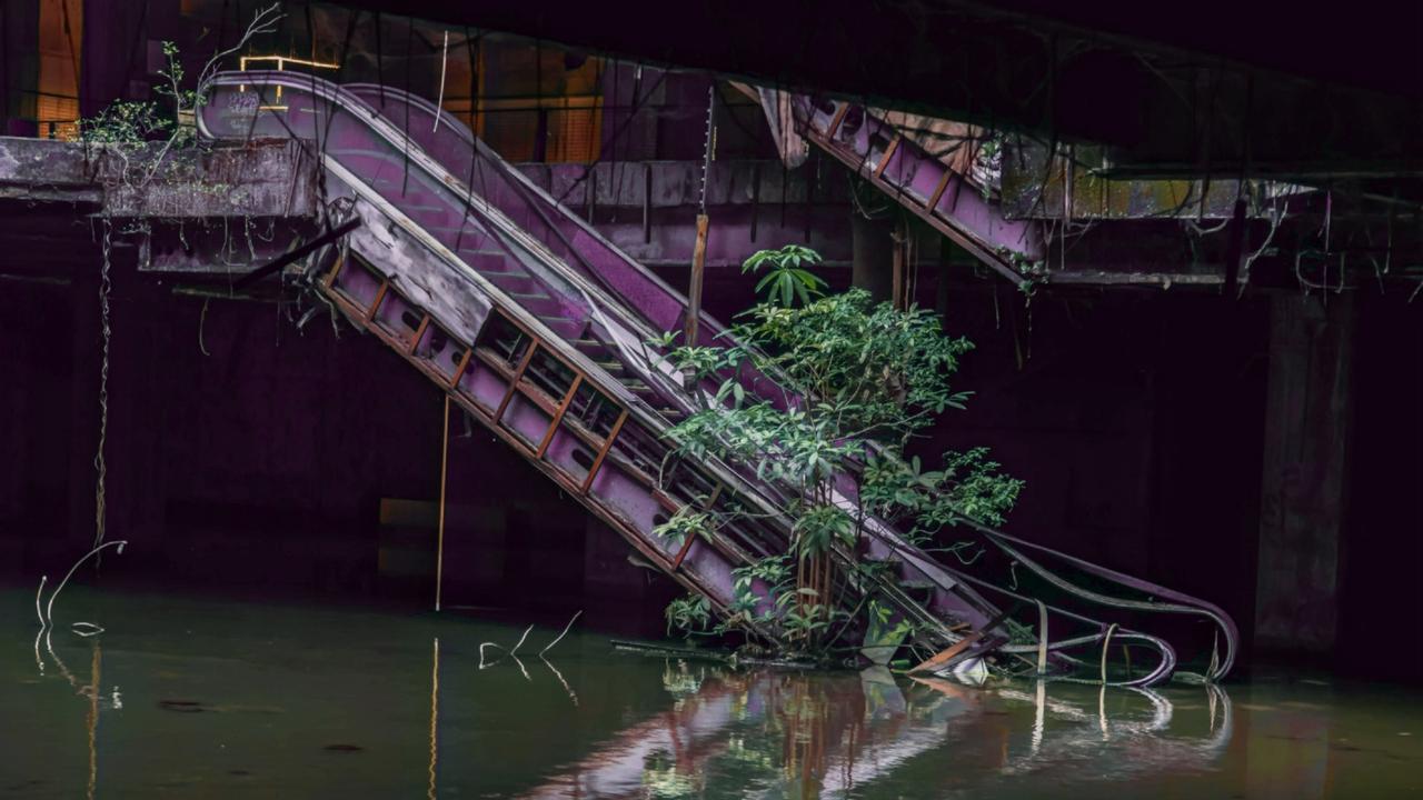 Eine Rolltreppe in einem verlassenen Einkazfszentrum, dessen Erdgeschoss unter Wasser steht. Am Fuß der Treppe, im Wasser wächst ein Baum. 