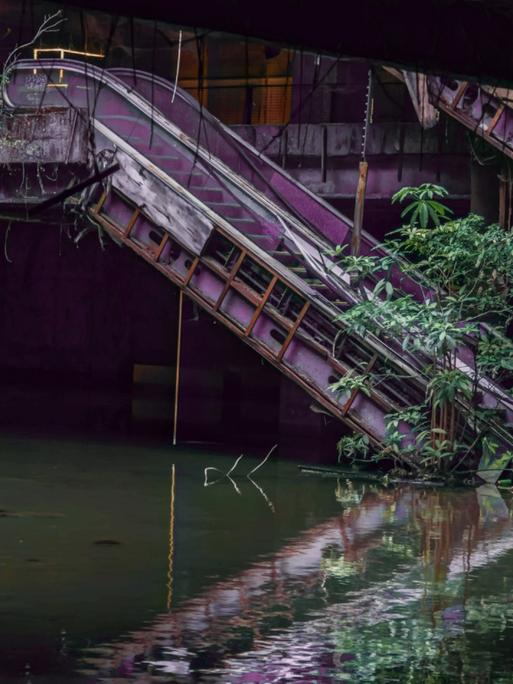 Eine Rolltreppe in einem verlassenen Einkazfszentrum, dessen Erdgeschoss unter Wasser steht. Am Fuß der Treppe, im Wasser wächst ein Baum. 