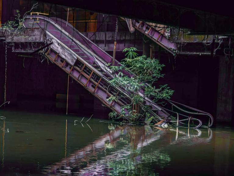 Eine Rolltreppe in einem verlassenen Einkazfszentrum, dessen Erdgeschoss unter Wasser steht. Am Fuß der Treppe, im Wasser wächst ein Baum. 