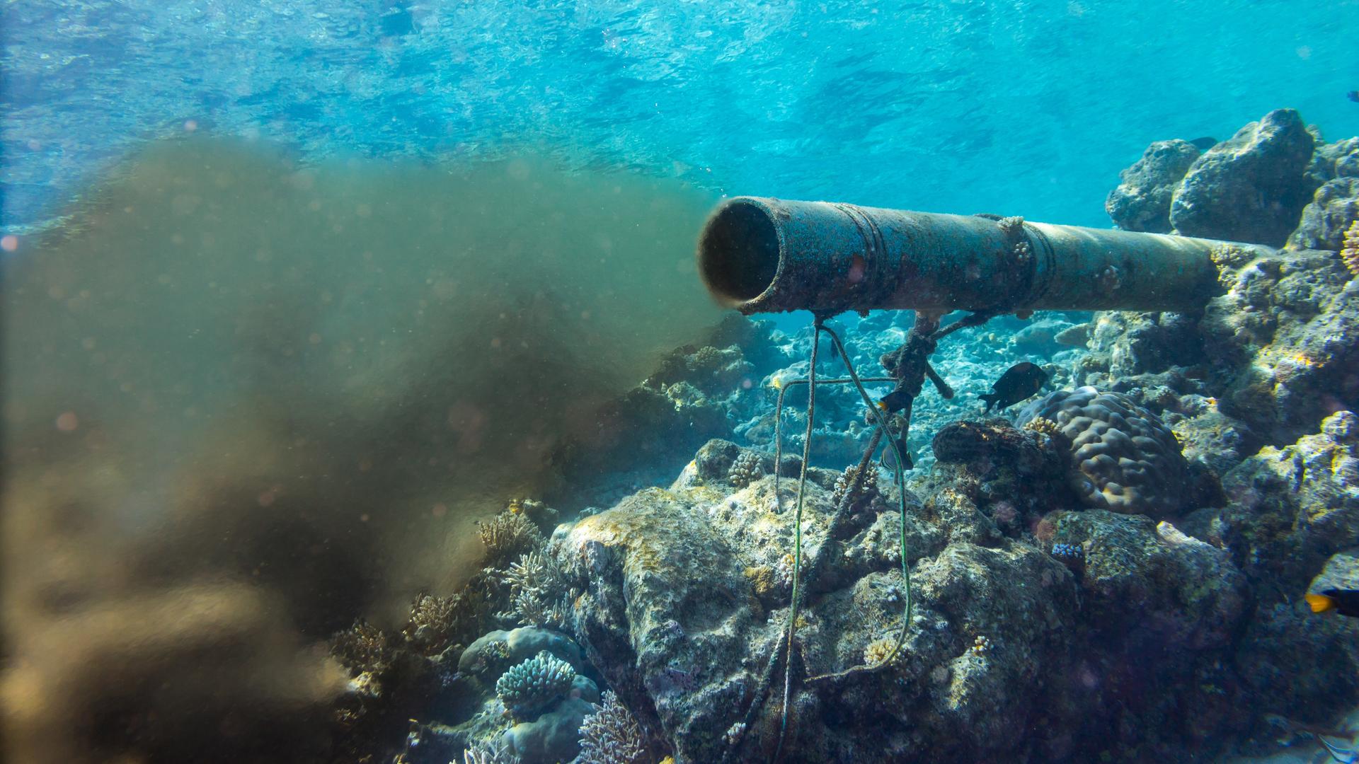 Eine Unterwasser-Abwasserleitung in einem Korallenriff beschädigt und verdunkelt den Ozean. Eine Unterwasser-Abwasserleitung in einem Korallenriff beschädigt und verdunkelt den Ozean.