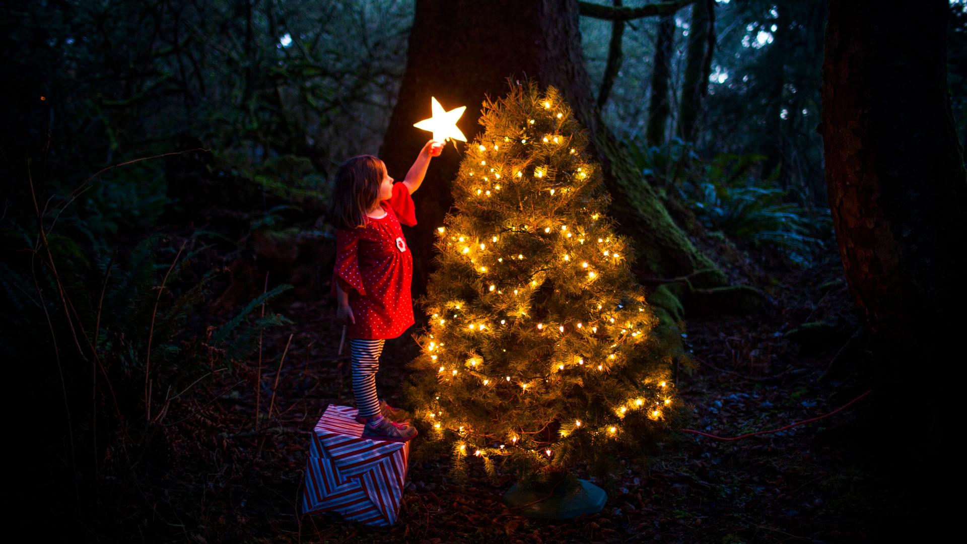 Ein kleines Mädchen in einem roten Kleid steht auf einem Paket mitten im Wald vor einem mit Kerzen erleuchteten Tannenbaum und versucht einen strahlenden Stern auf die Spitze zu setzen.