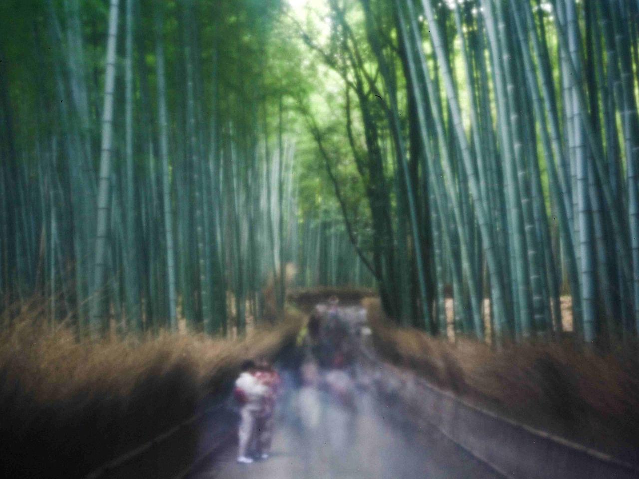 Fotografie mit Pinhole-Technik: Viele verschwommene, verschwindende Passanten auf einem Weg in einem Bambuswald in Japan. Fotografie mit Pinhole-Technik: Viele verschwommene, verschwindende Passanten auf einem Weg in einem Bambuswald in Japan.