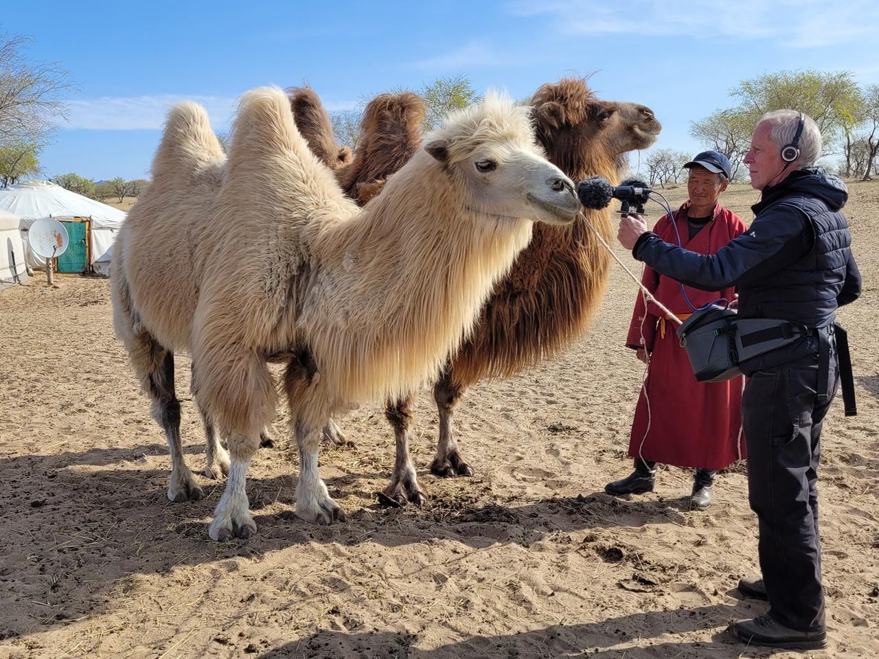Robin Minard bei der Aufnahme von Kamelen in der Wüstenregion Gobi.