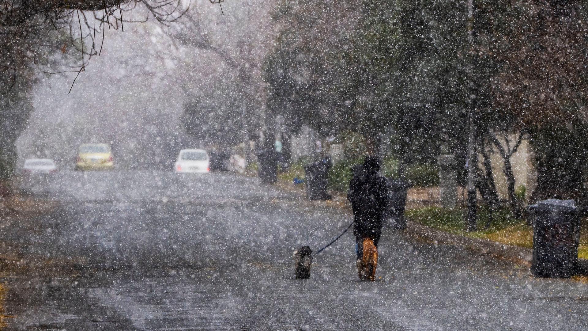 Südafrika, Johannesburg: Ein Mann geht mit seinen Hunden während eines Schneesturms in Johannesburg, Südafrika, in einer Straße spazieren. Die Temperaturen fielen auf unter null Grad. Südafrika, Johannesburg: Ein Mann geht mit seinen Hunden während eines Schneesturms in Johannesburg, Südafrika, in einer Straße spazieren. Die Temperaturen fielen auf unter null Grad.