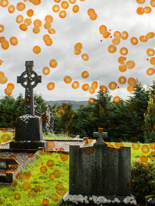 Blick auf einen Friedhof. Das Foto wird von einer Grafik mit orangen Punkten überlagert.