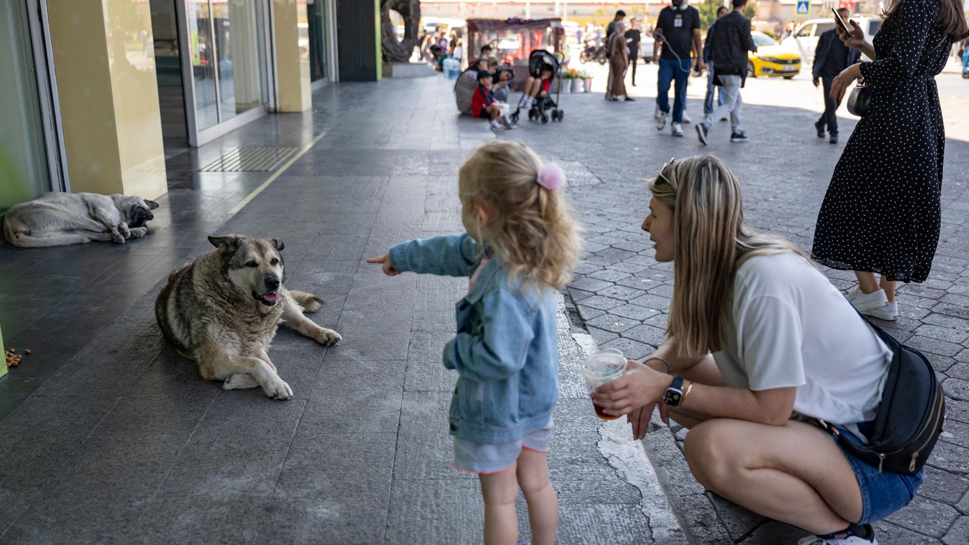 Eine Frau zeigt einem Kind einen streunenden Hund am Taksim-Platz in Istanbul.