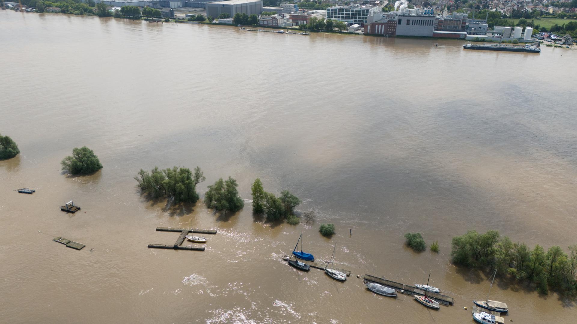 Hessen, Walluf: Der Rhein hat den Bootshafen in Walluf überschwemmt (Luftaufnahme mit einer Drohne). Hessen, Walluf: Der Rhein hat den Bootshafen in Walluf überschwemmt (Luftaufnahme mit einer Drohne).