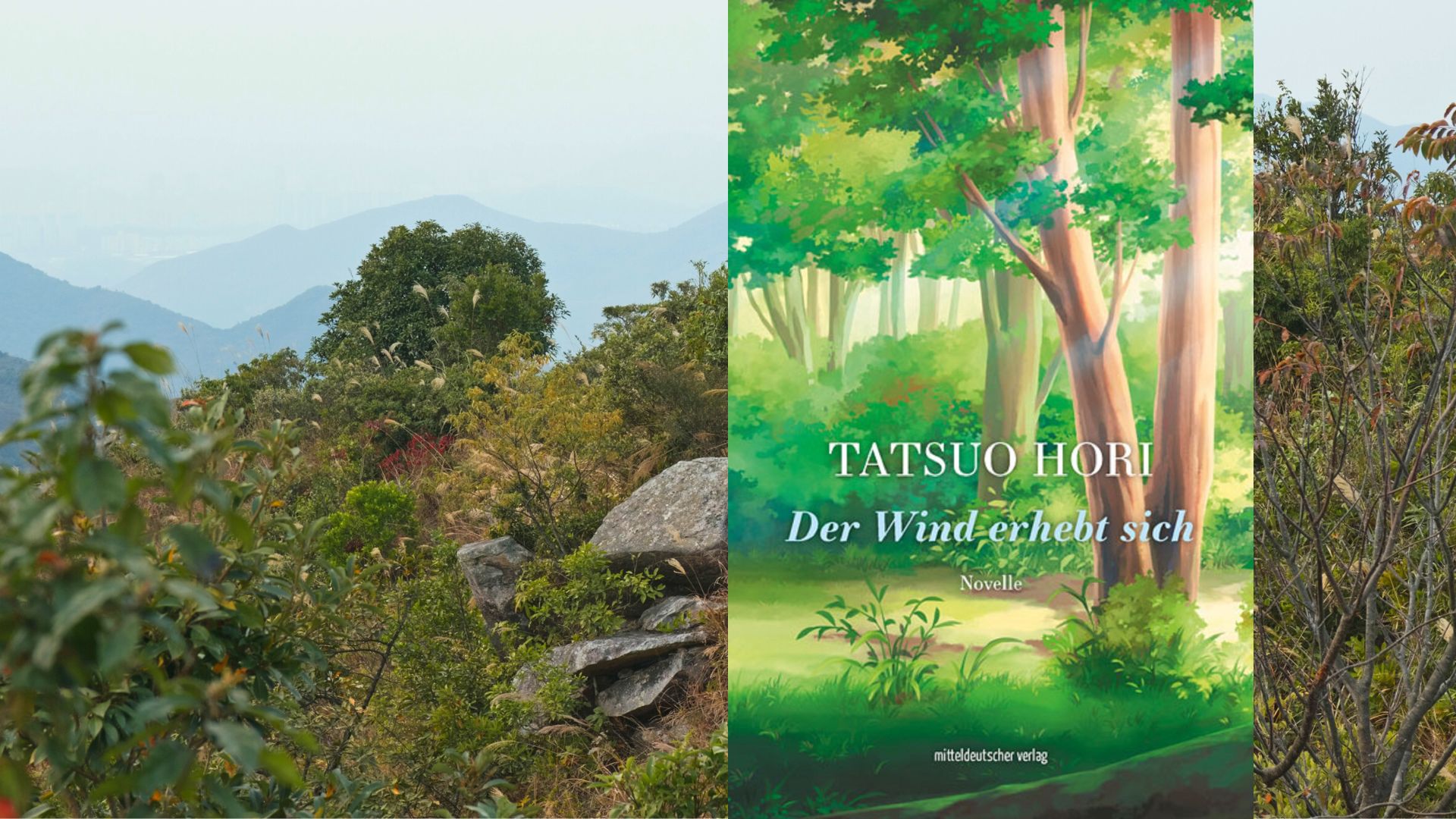 Tatsuo Hori „Der Wind erhebt sich“ - Unerhörte Traurigkeit