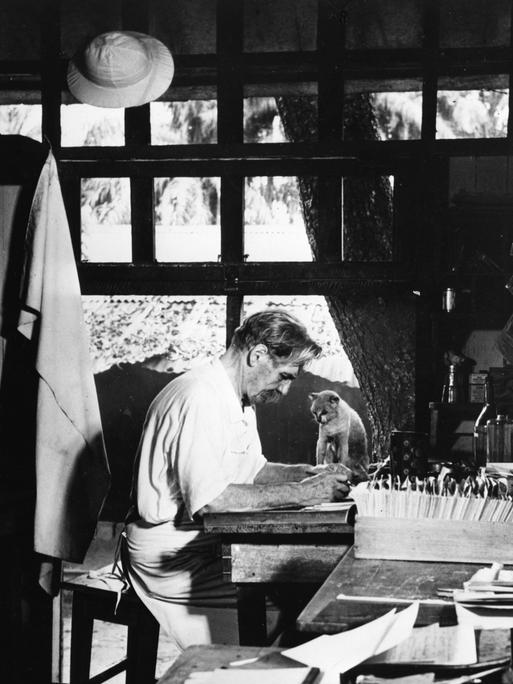 Historisches Schwarzweißfoto von Albert Schweitzer, der in einem weißen Hemd am Schreibtisch in seinem Büro sitzt. Neben ihm auf dem Tisch sitzt eine Katze.