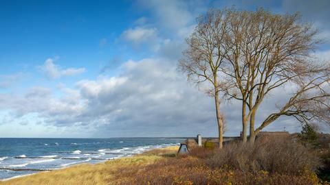 Blick auf ein Haus zwischen Ostseedünen am Strand bei Ahrenshoop auf der Halbinsel Fischland/Darß bei Sonnenschein.