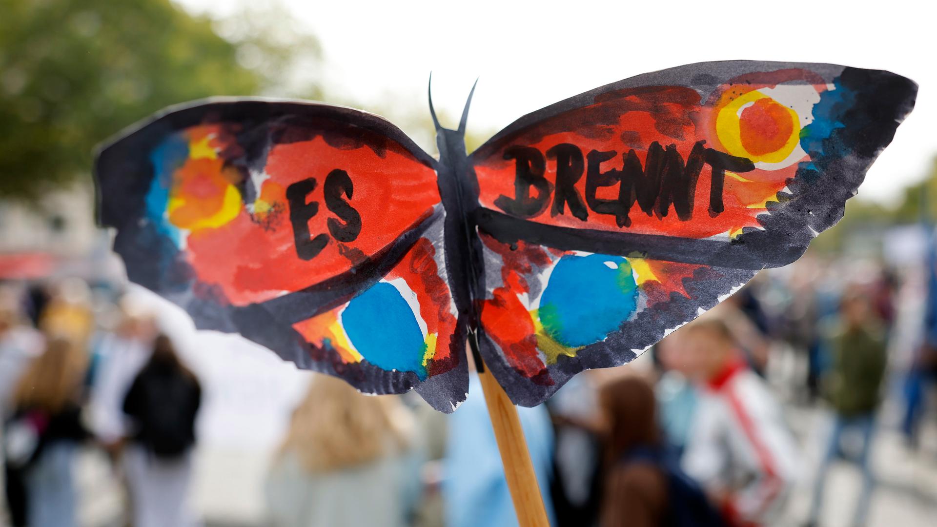 Teilnehmer einer Klimademonstration halten Schilder und Transparente in die Luft. Im Vordergrund ist ein selbst gebastelter Schmetterling mit der Aufschrift "Es brennt" zu sehen.