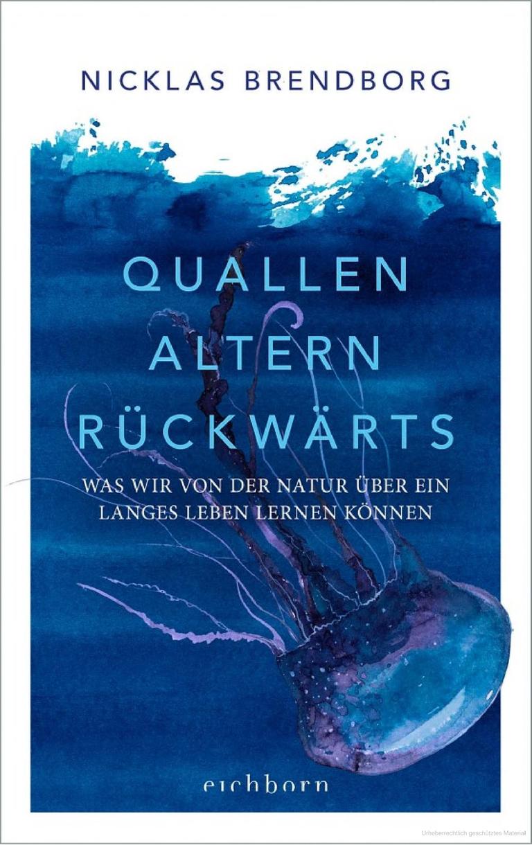 Cover des Buchs „Quallen altern rückwärts. Was wir von der Natur über ein langes Leben lernen können“ von Nicklas Brendborg.