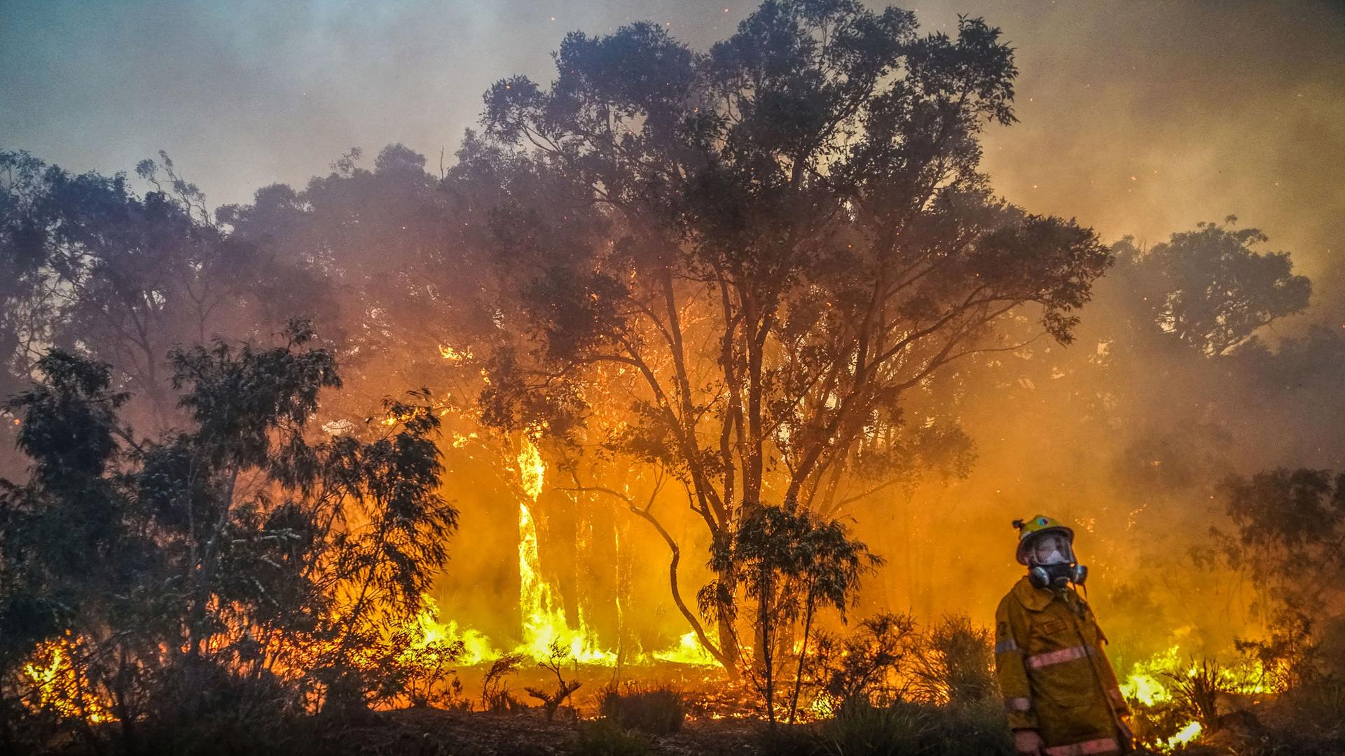 Ein Buschbrand im Westen Australiens.