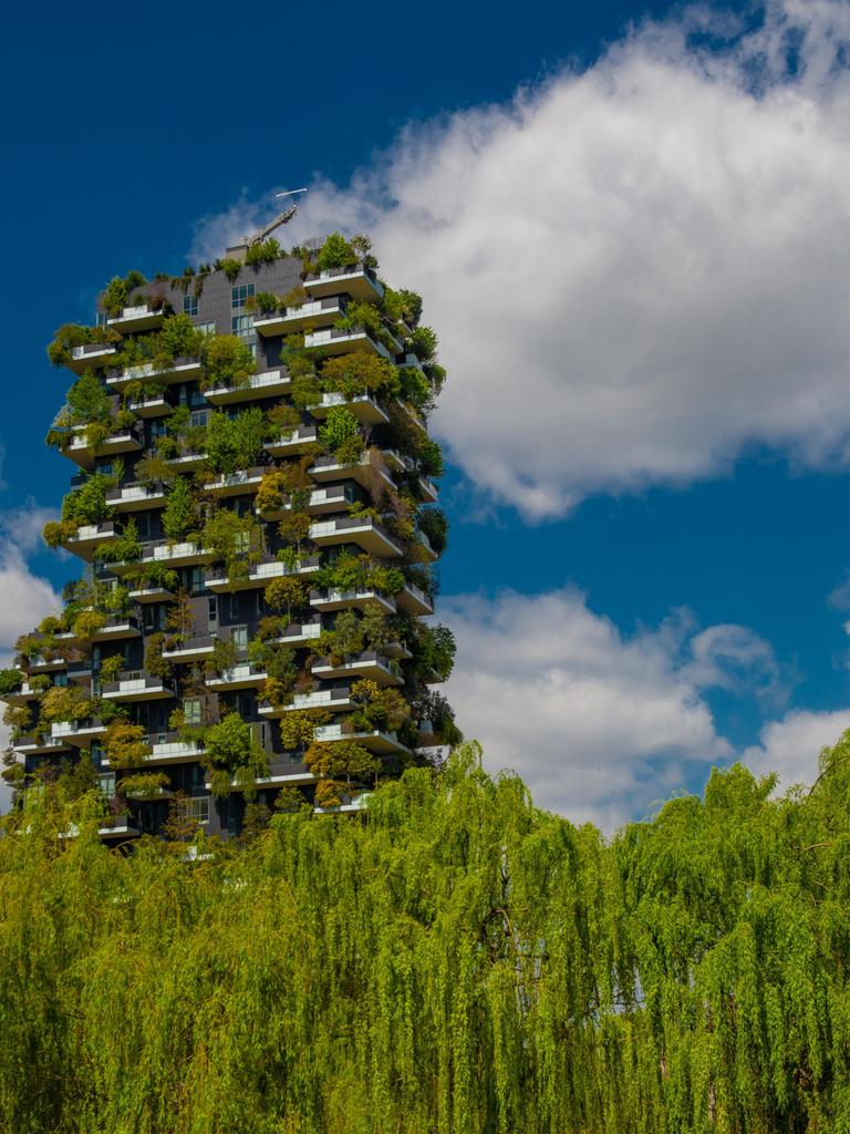 Zwei Hochhäuser ragen aus einer begrünten Wohnlandschaft hervor. Sämtliche Balkone der Wohntürme sind großzügig mit sattgrünen Pflanzen versehen.