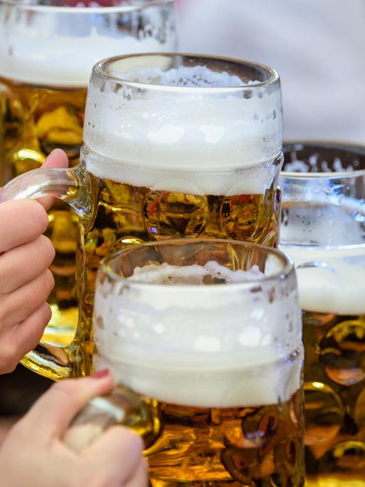Hände halten mehrere große Bierkrüge mit denen angestoßen wird Hände halten mehrere große Bierkrüge mit denen angestoßen wird