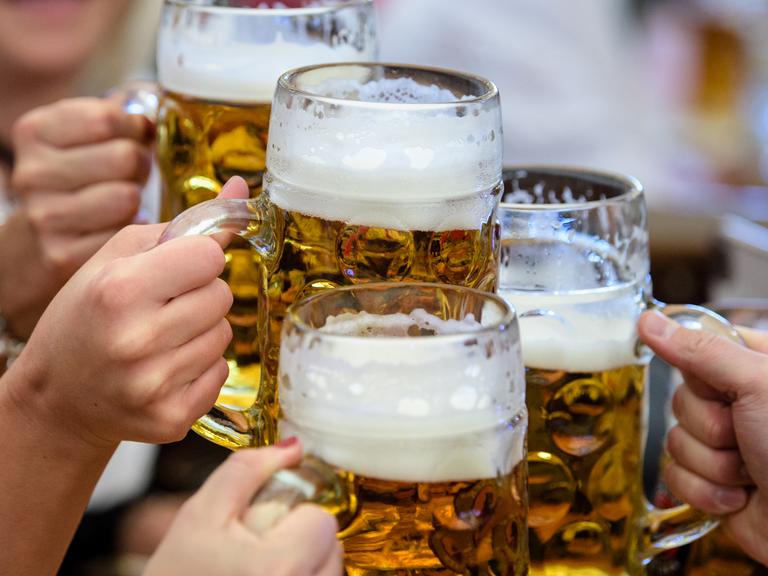 Hände halten mehrere große Bierkrüge mit denen angestoßen wird Hände halten mehrere große Bierkrüge mit denen angestoßen wird