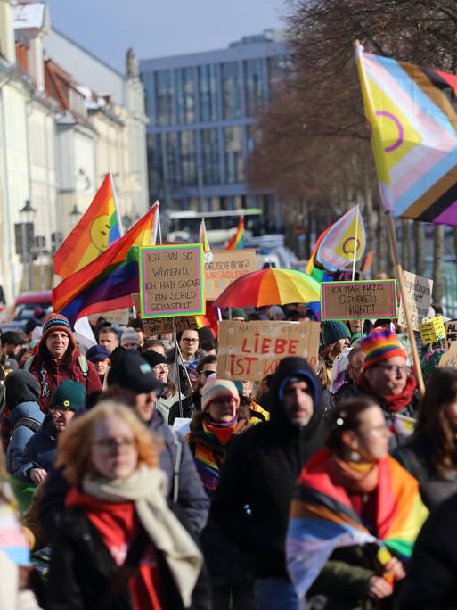 Menschen demonstrieren beim Winter-Christopher-Street-Day in Potsdam mit Regenbogenfahen für Vielfalt, Toleranz und Gleichberechtigung