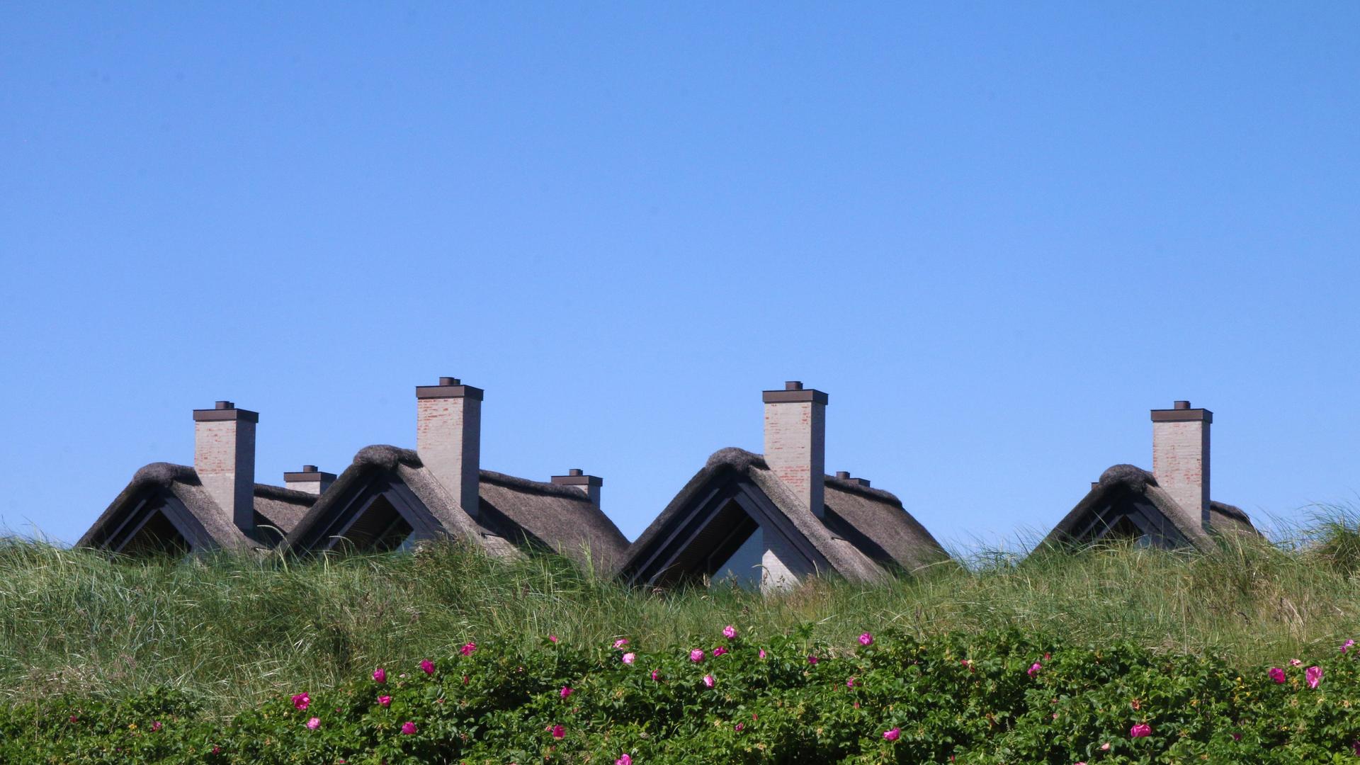 Hinter einem Deich sind Häuserdächer zu erkennen. Dahinter blauer Himmel. (Symbolbild)