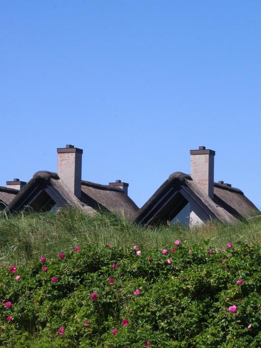 Hinter einem Deich sind Häuserdächer zu erkennen. Dahinter blauer Himmel. (Symbolbild)