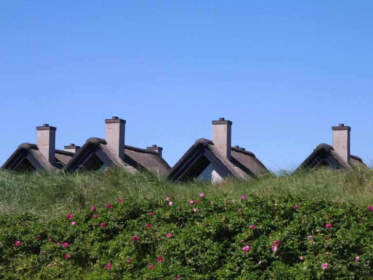 Hinter einem Deich sind Häuserdächer zu erkennen. Dahinter blauer Himmel. (Symbolbild)