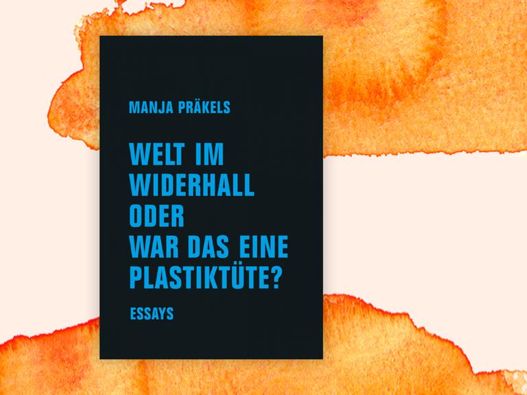 Buchcover: "Welt im Widerhall oder war es eine Plastiktüte" von Manja Präkels