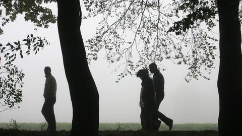 Drei Menschen gehen einen Weg mit Bäumen entlang. 