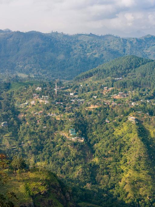Panorama-Blick über eine in den Bergen gelegene Kleinstadt, die von viel Wald und Teeplantagen umgeben ist.