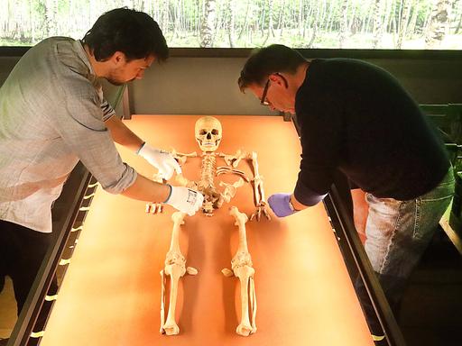 Die Museumsmitarbeiter Thomas Puttkammer und Paul Globig untersuchen das Skelett der Schamanin von Bad Dürrenberg. Es liegt auf einem Tisch, der von unten angeleuchtet wird. Beide tragen Gummihandschuhe. 