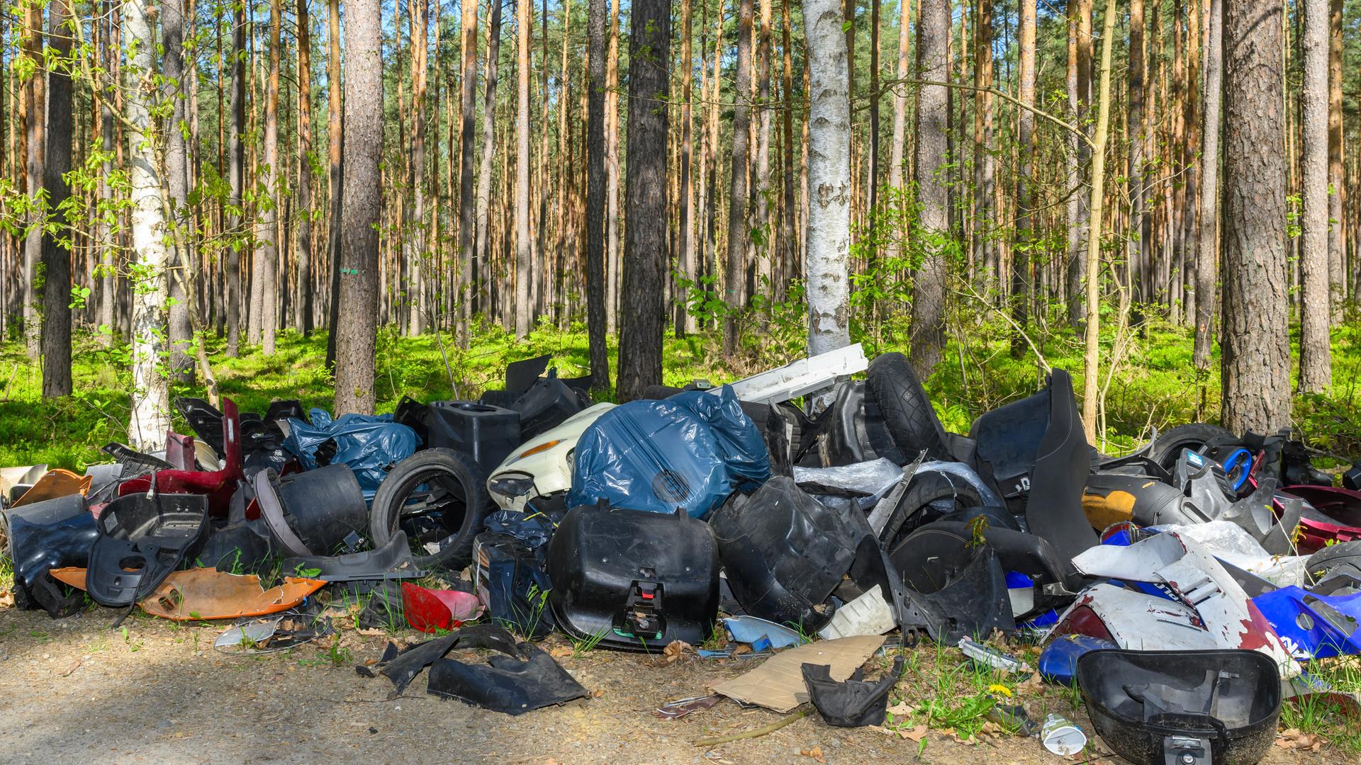 Illegal entsorgte Reifen sowie Teile von Fahrzeugen und weiterer Müll liegt in einem Wald im Landkreis Oder-Spree. 