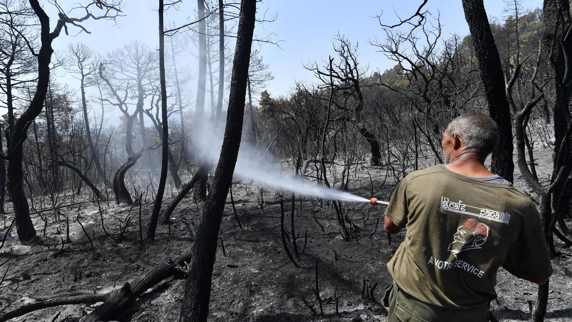 Ein Mann löscht einen Waldbrand in Tunesien.