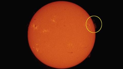 Eine Filteraufnahme unserer Sonne zeigt diese als orangen Stern, auf dessen Oberfläche Gas-Protuberanzen in den Kosmos schießen.