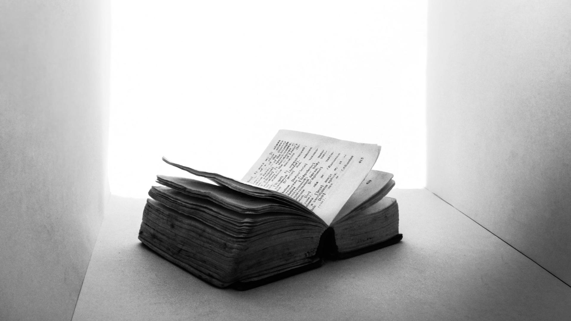 Ein aufgeschlagenes Buch liegt in einem Regal.