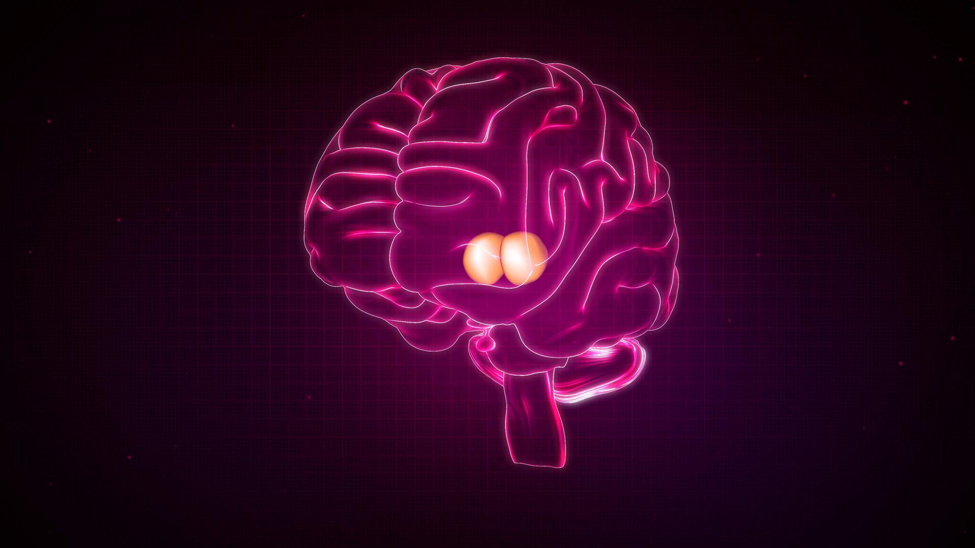 Ein menschliches Gehirn in pinker Neon-Stilisierung