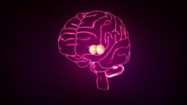 Ein menschliches Gehirn in pinker Neon-Stilisierung