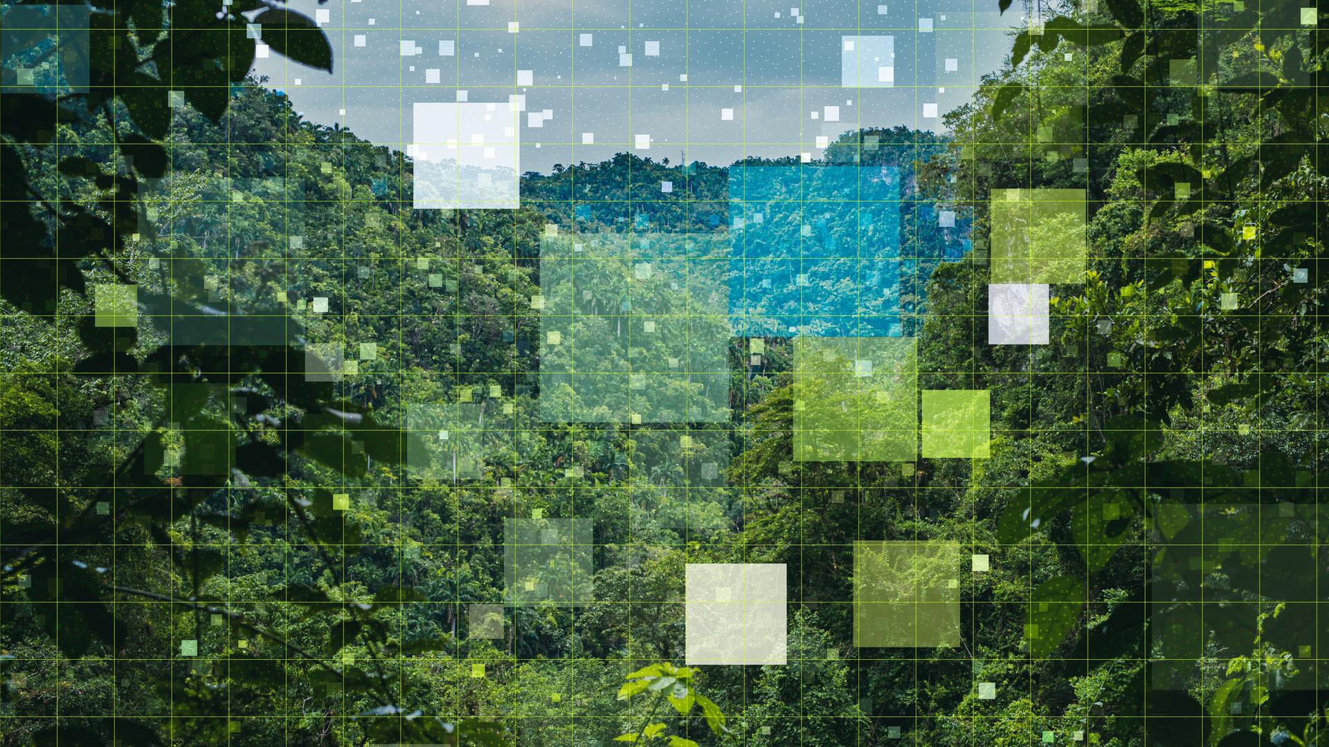 Digital erzeugte Illustration: Grüner, dichter Regenwald überlagert von einem Gitter und Quadraten in verschiedenen Größen als technologisches Konzept. 