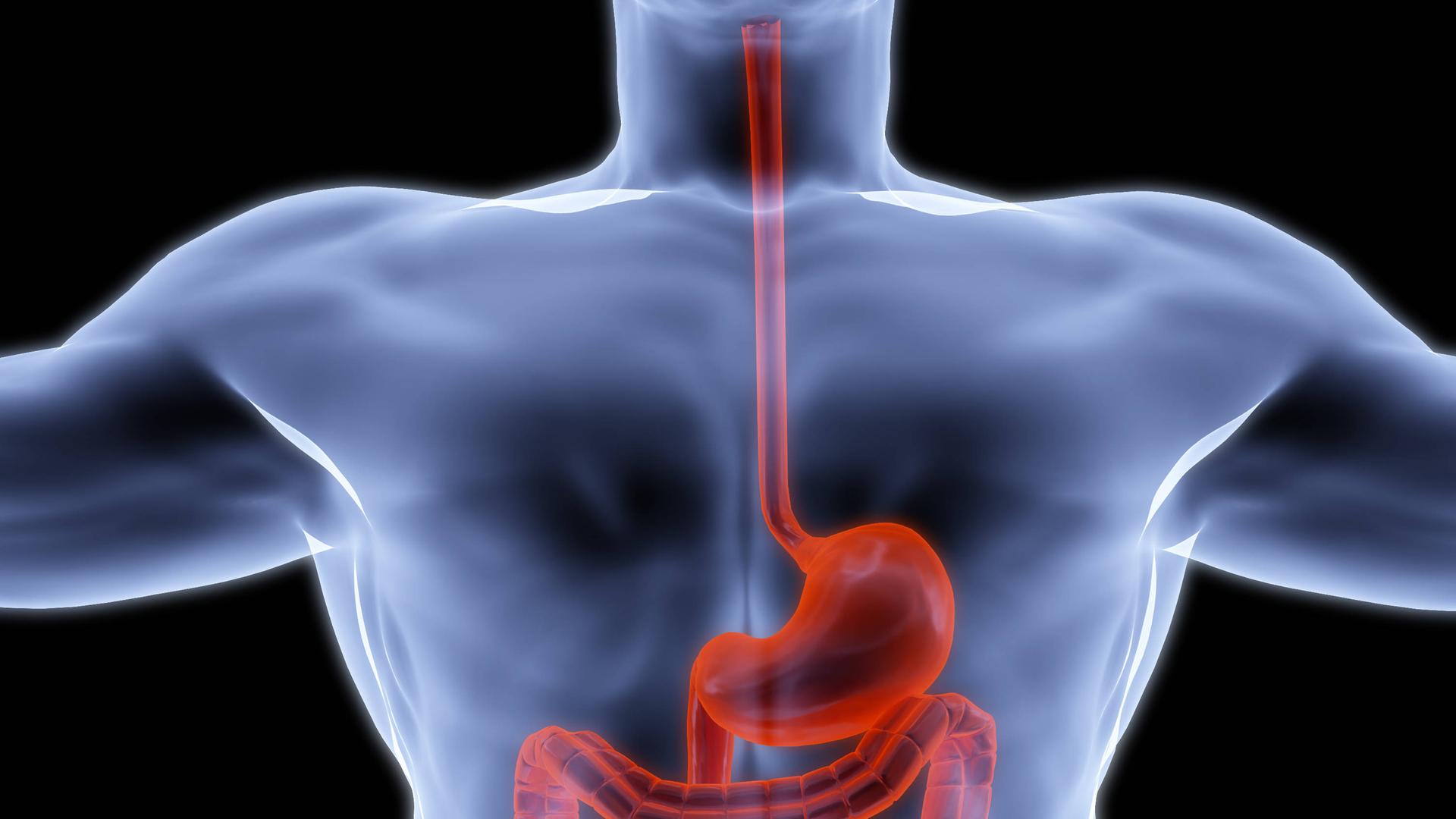 Zu Viel Kohlensäure Im Magen Was Tun www.deutschlandfunk.de