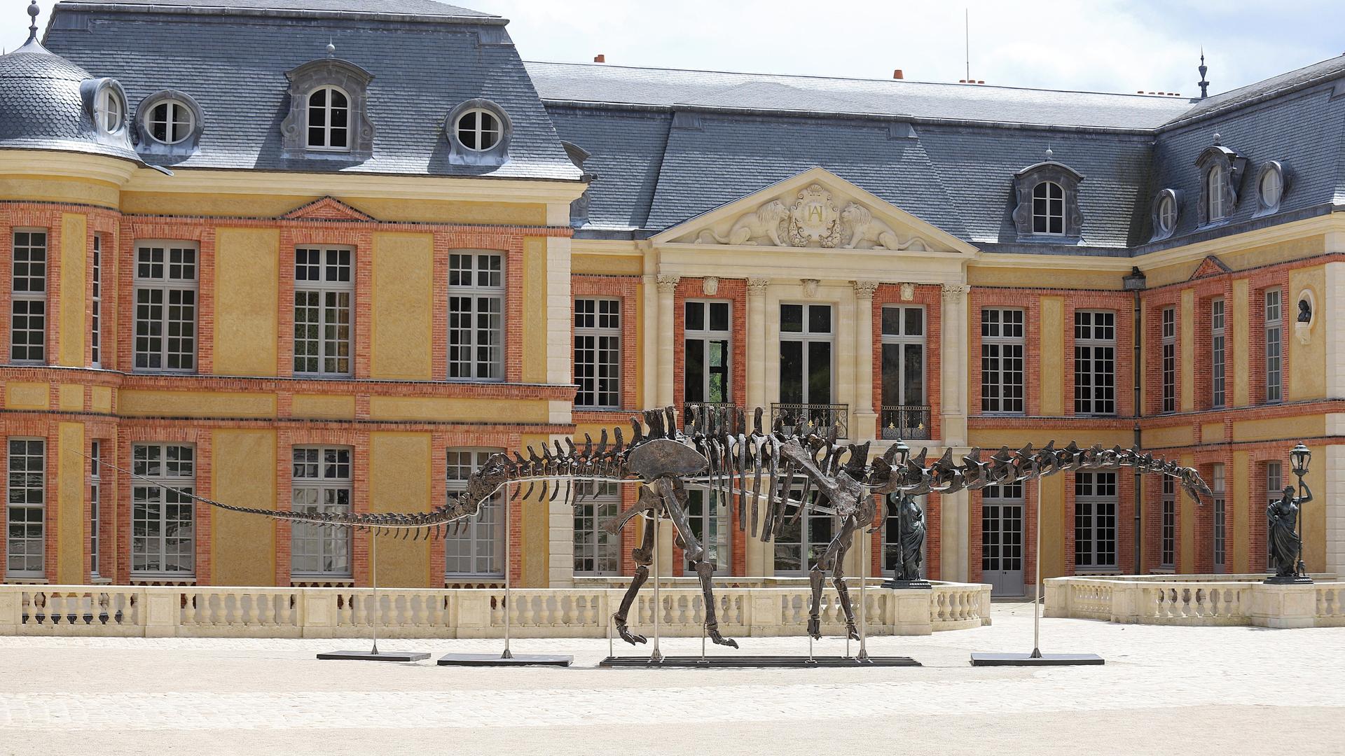 Das Skelett hat einen langen Hals und einen langen Schwanz. Es ist vor einem Schloss aufgestellt.