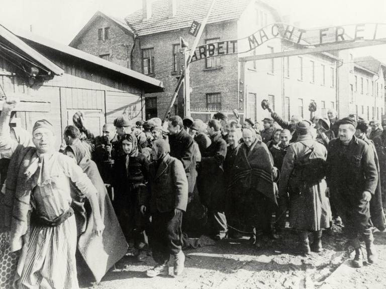 Häftlinge verlassen am 26.1.1945 das Konzentrationslager Auschwitz. Hinter ihnen das Tor auf dem "Arbeit macht frei" steht.