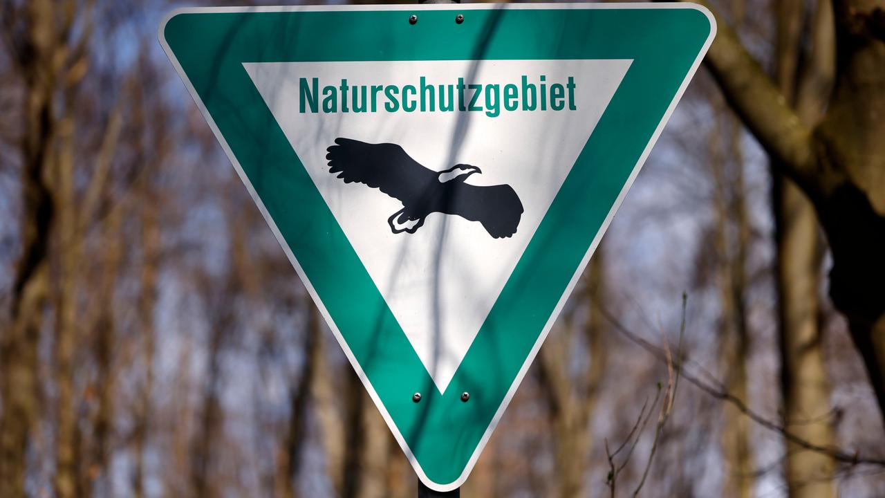 Vogelschutzrichtlinie Wildvögel nicht ausreichend geschützt EU