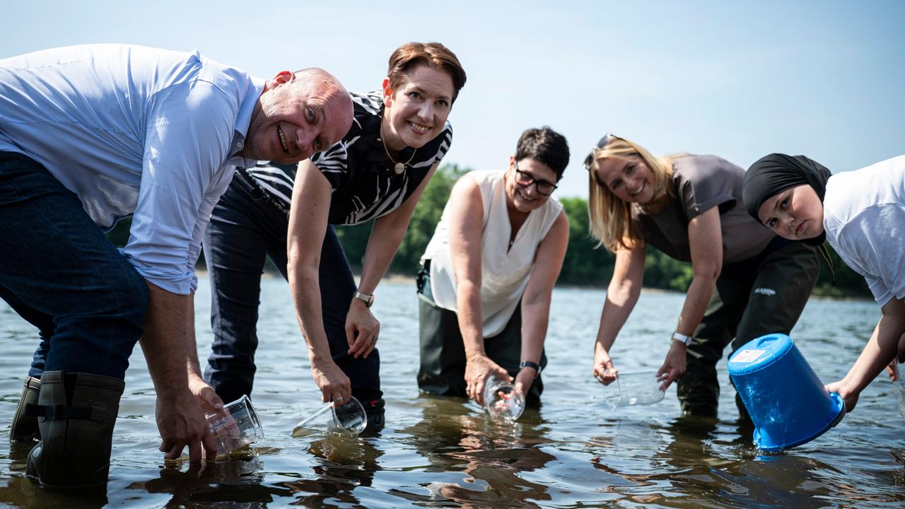 Vertreter mehrerer Bundesländer schütten Gläser voller Maifischlarven in den Rhein.