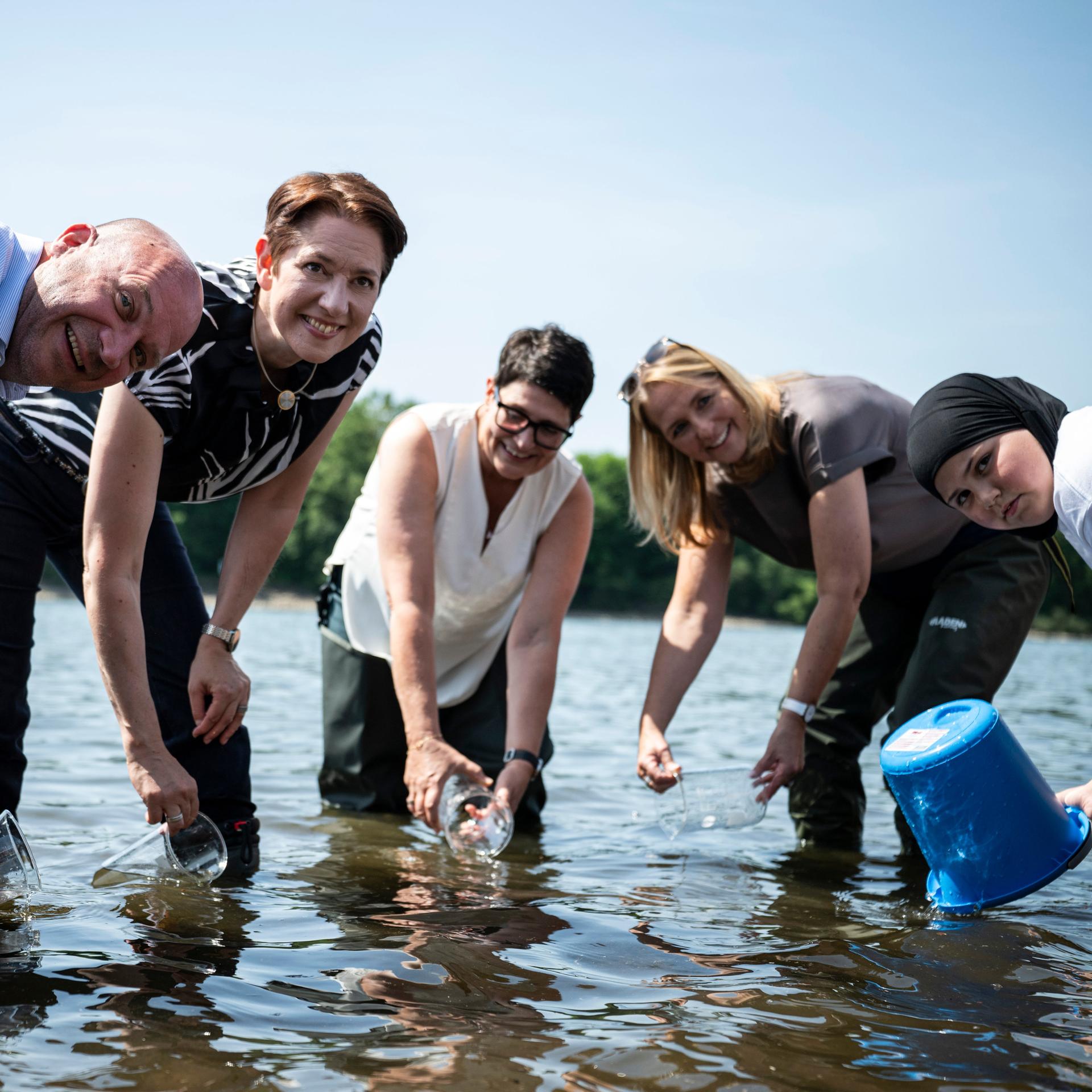 Artenschutz - Zehntausende Maifischlarven im Rhein ausgesetzt