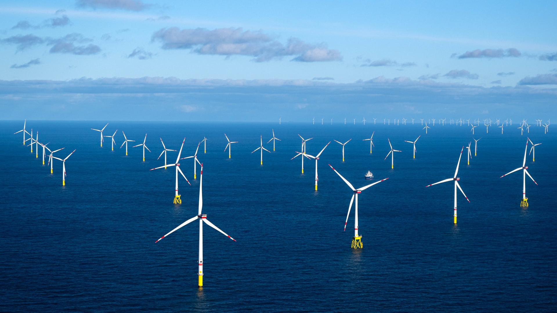 Der Offshore-Windpark Dolwin Alpha.