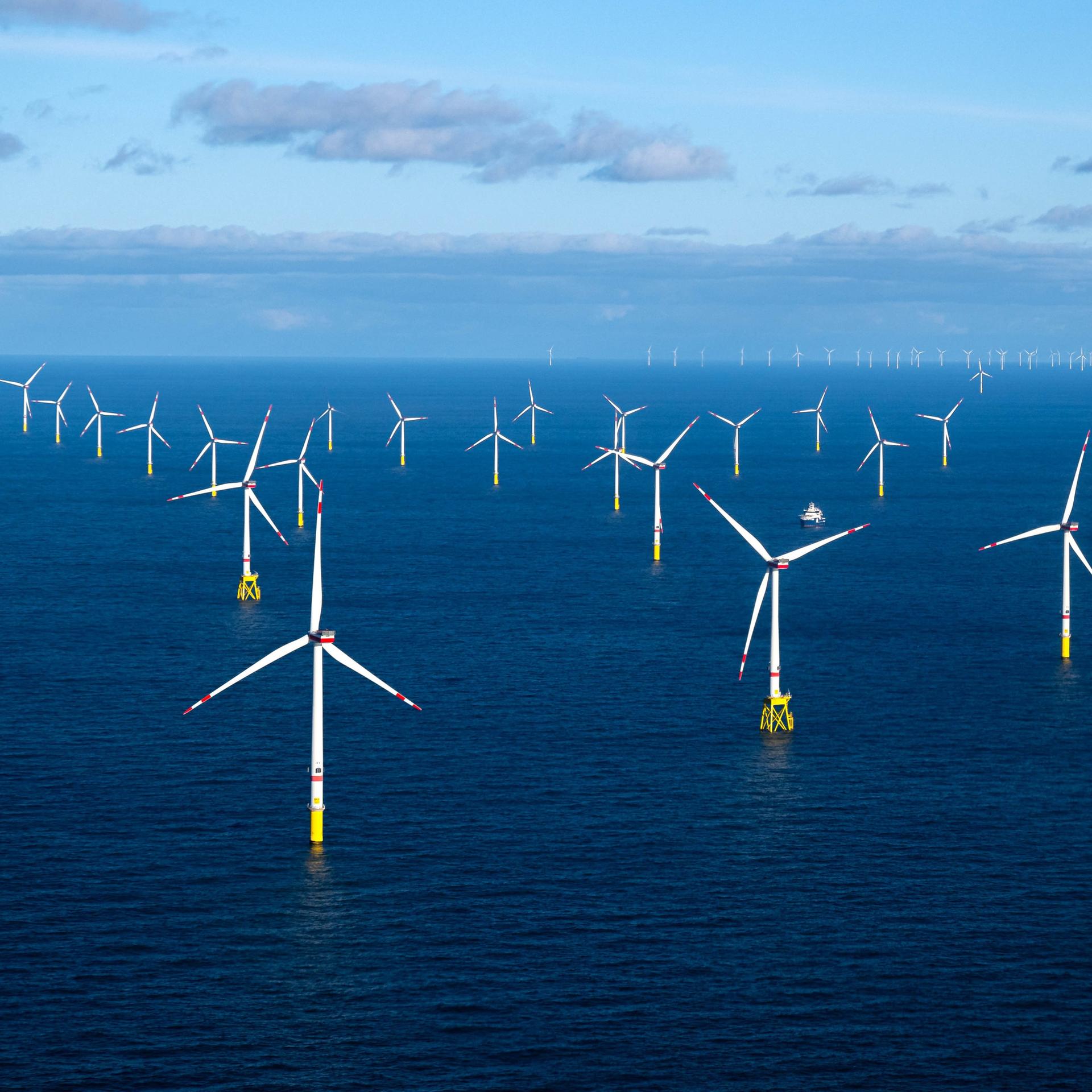 Der Offshore-Windpark Dolwin Alpha.